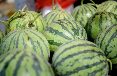 闽南语翻译器  第3张