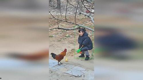 黑料吃瓜网apk普通安装  第2张