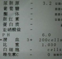 哈密瓜影视  第2张