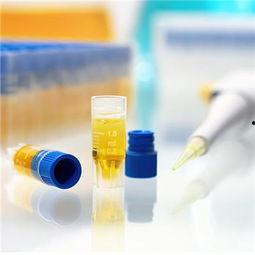 哈密瓜影视  第3张