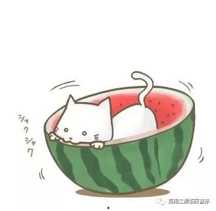 恐怖农场南瓜头  第3张