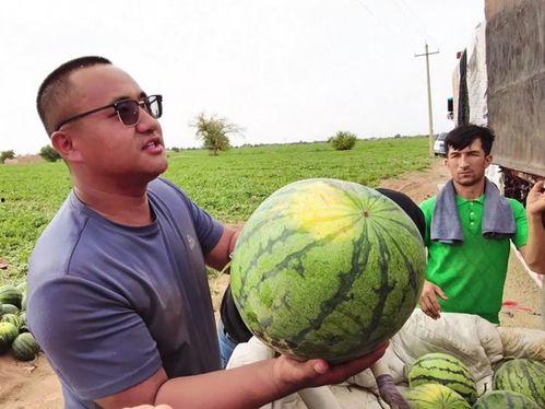 黑料吃瓜网apk普通安装  第2张