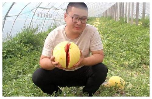 黑料吃瓜网apk普通安装  第2张