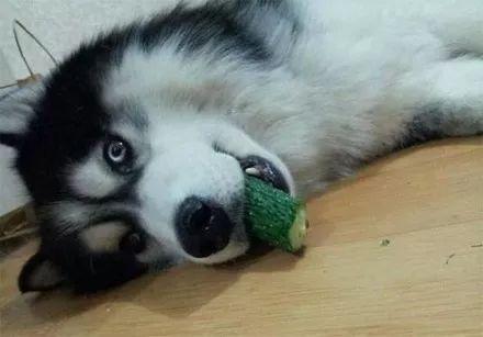 黑料吃瓜网apk普通安装  第3张