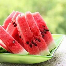 多仔宠物安卓版  第3张